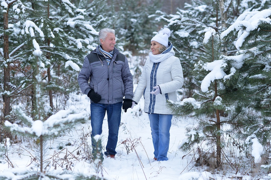 Walking in Winter Wonderland