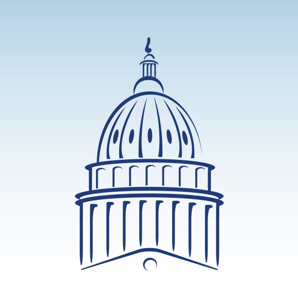 Stylized vector illustration of the US capitol dome