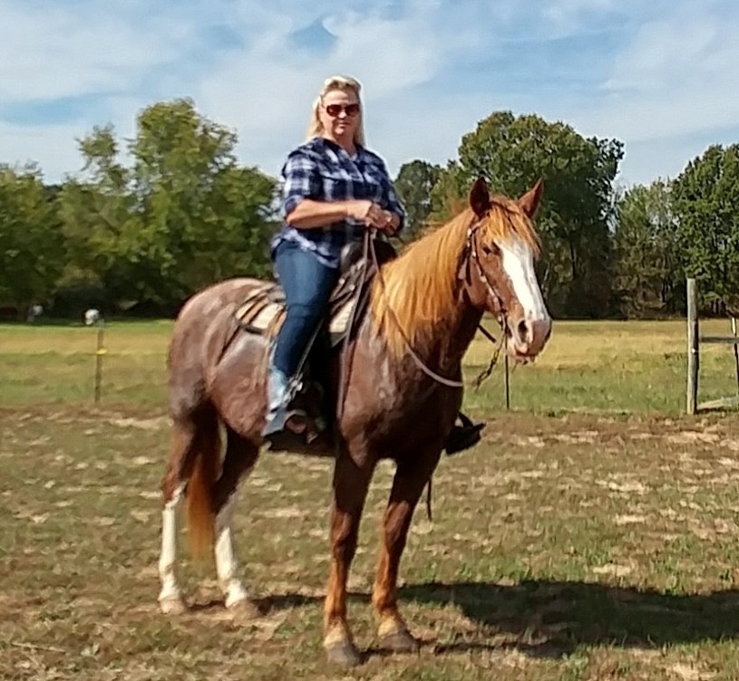 Retiree Dixie with one of her horses