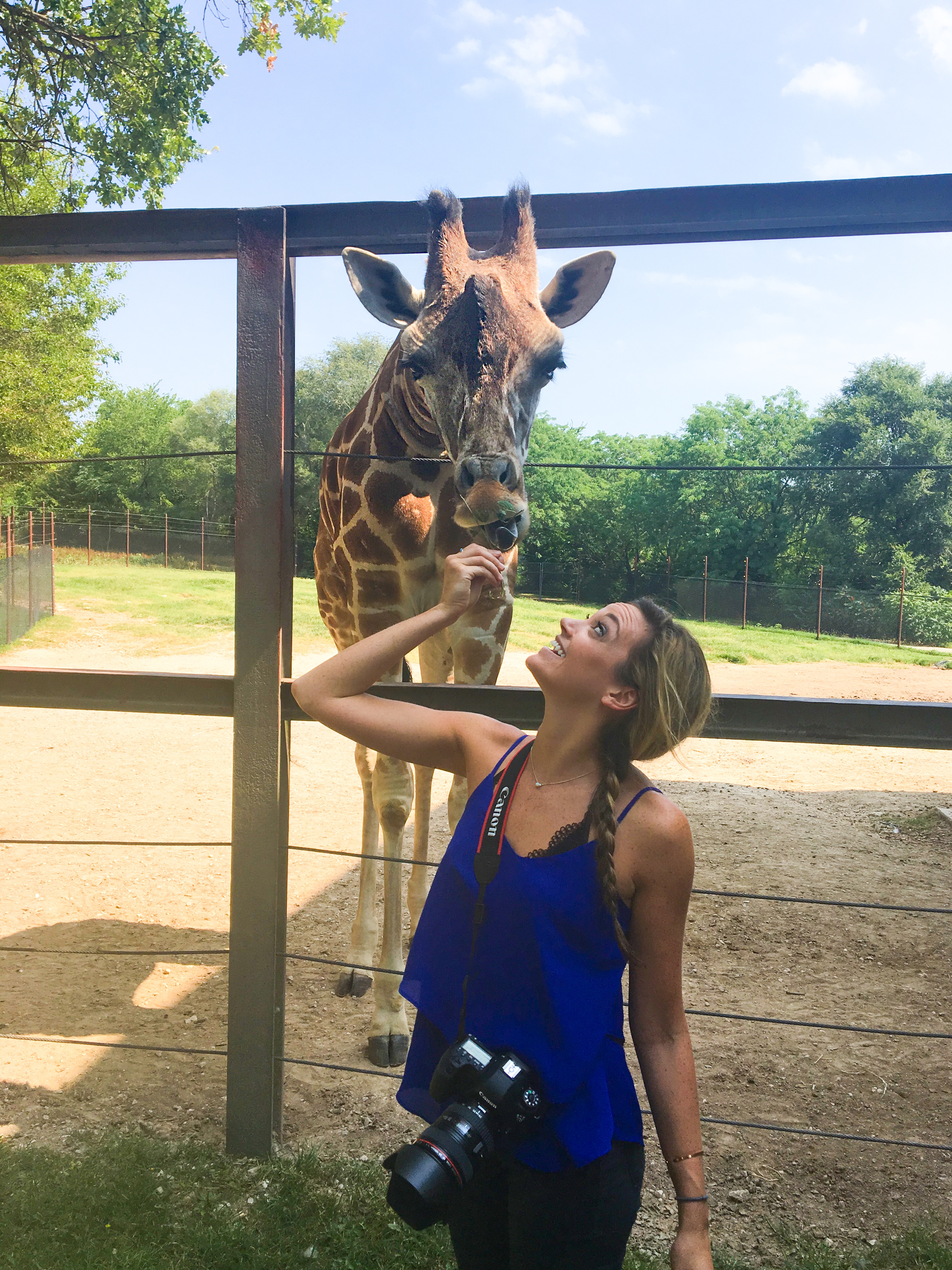 Chelsea and a giraffe