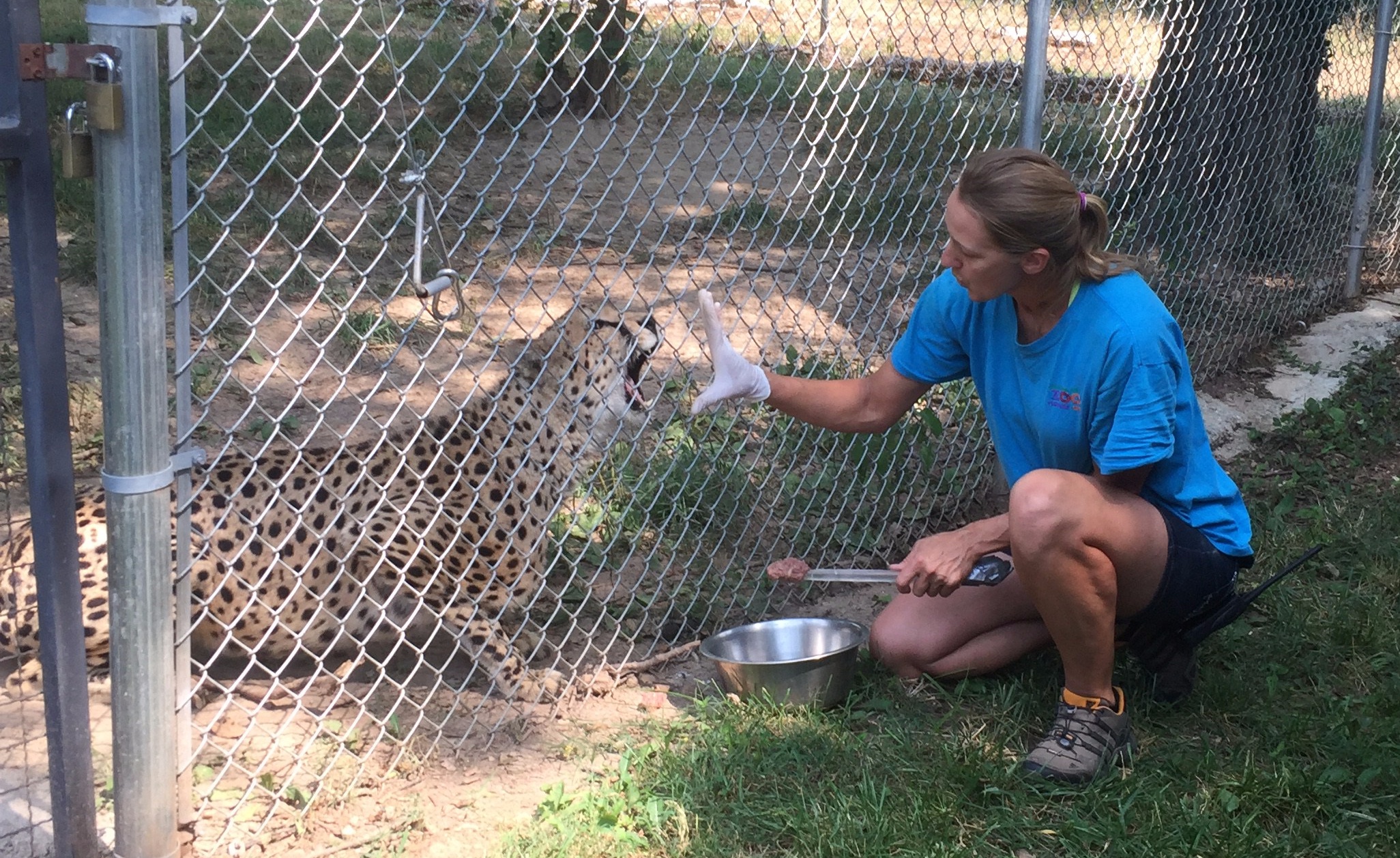 LAGERS member Sheila Samek at work at the Dickerson Park Zoo